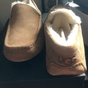 Men's UGG Slippers/Shoes